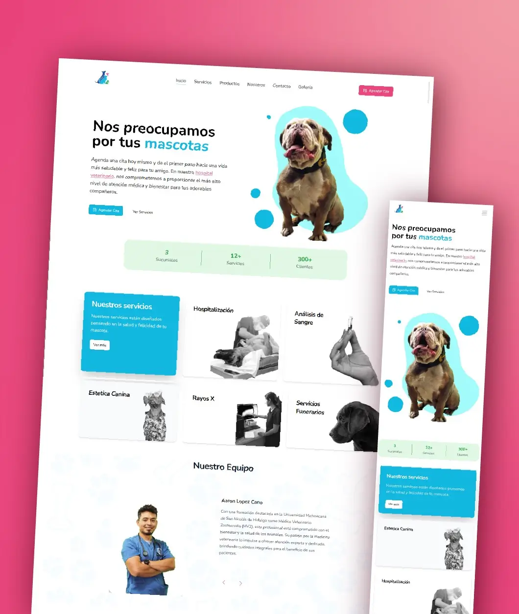 Veterinario del Dr. Mickey