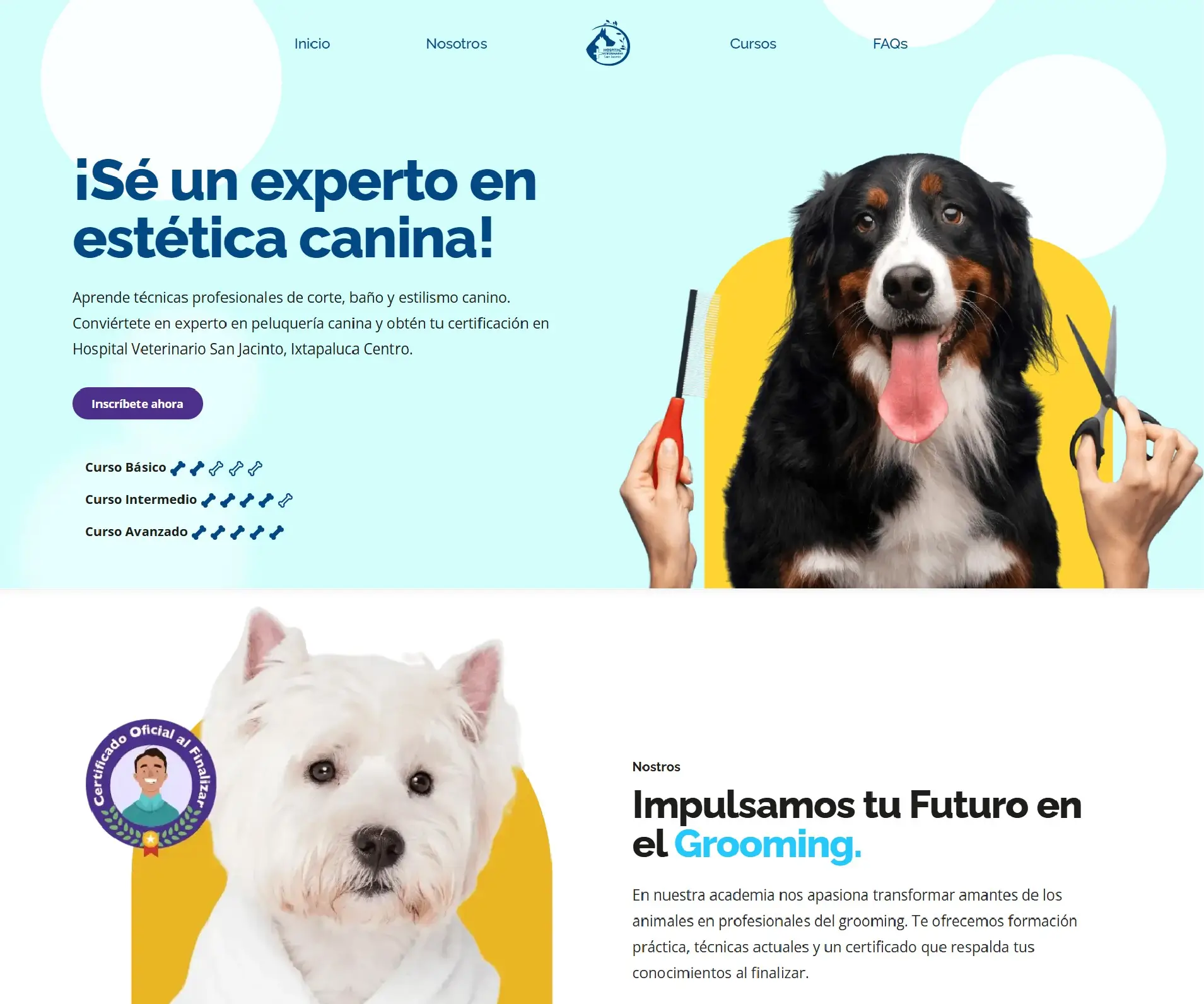 Hospital Veterinario San Jacinto